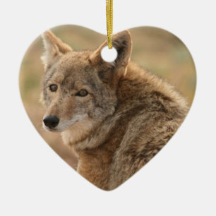 En Céramique Ornement de coyote