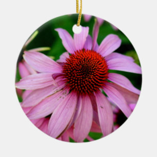 En Céramique ornement de fleur d'échinacée rose