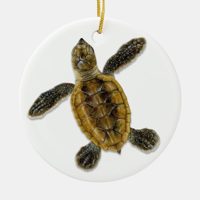 En Céramique Ornement de Hatchling de tortue de mer de (Devant)