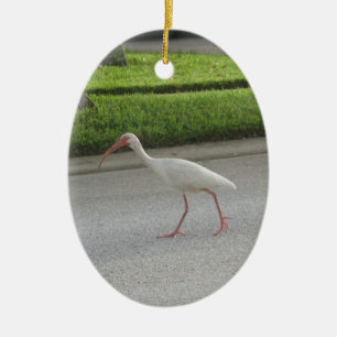 En Céramique Ornement de marche Ibis