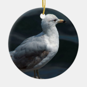 En Céramique Ornement de mouette