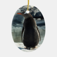 Ornement de pingouin de Gentoo