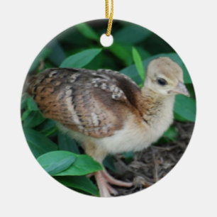En Céramique Ornement de poussin de paon de bébé