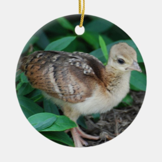 En Céramique Ornement de poussin de paon de bébé (Devant)