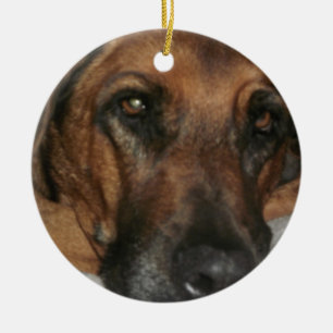 En Céramique Ornement de Rhodesian Ridgeback