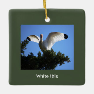 En Céramique Ornement d'oiseaux Ibis blanc