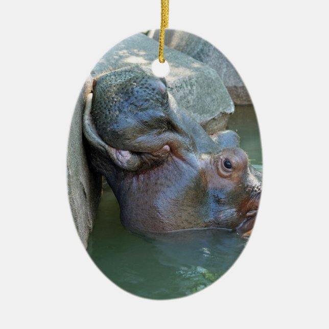 En Céramique Ornement hippo (Devant)