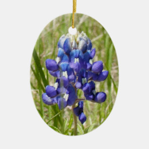 En Céramique Ornement peint de Bluebonnet de Texas