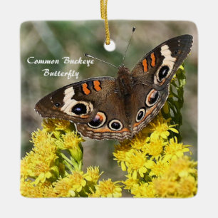 En Céramique Ornement photo de papillon de Buckey commun