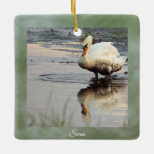 En Céramique Ornement photo de Swan