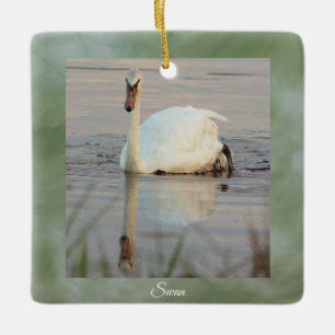 En Céramique Ornement photo de Swan
