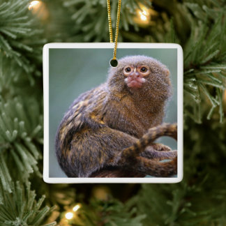 En Céramique Ornement Pygmy Marmoset