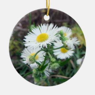 En Céramique Ornement rond de la photo 2-Sided de Fleabane de
