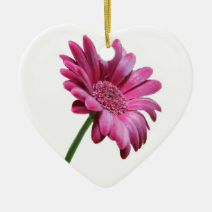 En Céramique Ornement rose de marguerite de Gerbera