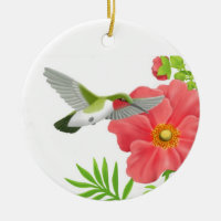 Ornement Throated rouge de colibri