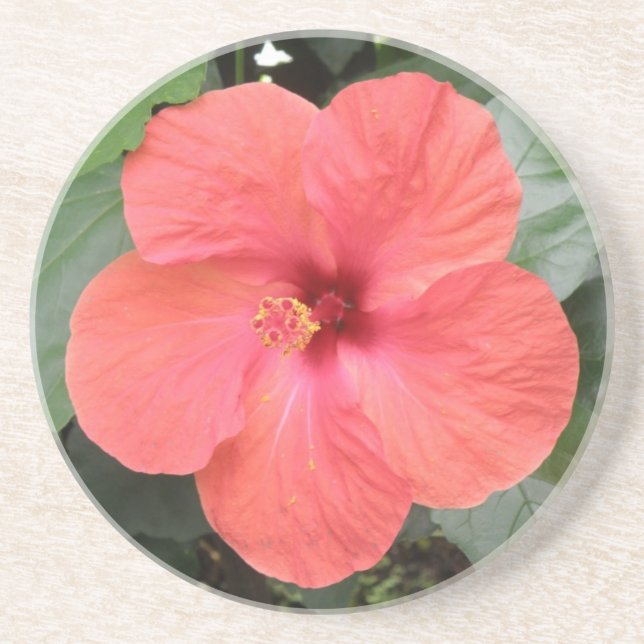 En Grès Beaux Dessous de verre à fleurs d'Hibiscus orange (Devant)