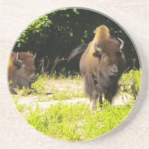 En Grès Bison, Dessous de verre de Buffalo