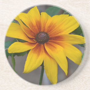 En Grès Black Eyed Susan Dessous de verre