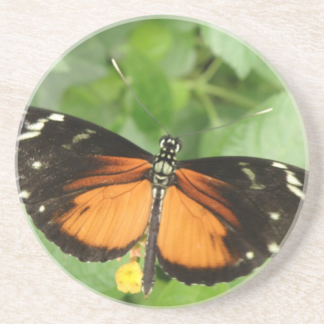 En Grès Dessous de verre à papillon long tigre (Devant)