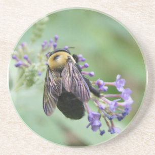 En Grès Dessous de verre abeille