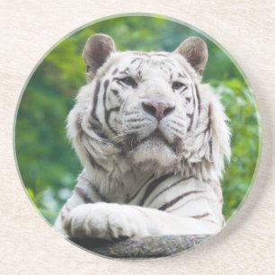 En Grès Dessous de verre blanc de tigre