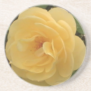 En Grès Dessous de verre Camellia Jaune