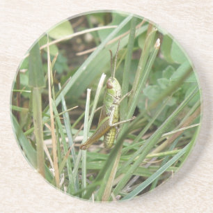 En Grès Dessous de verre Camouflage de sauterelles