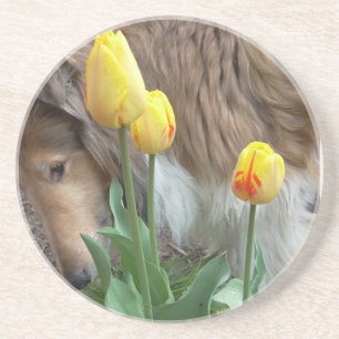 En Grès Dessous de verre Collie n Tulips