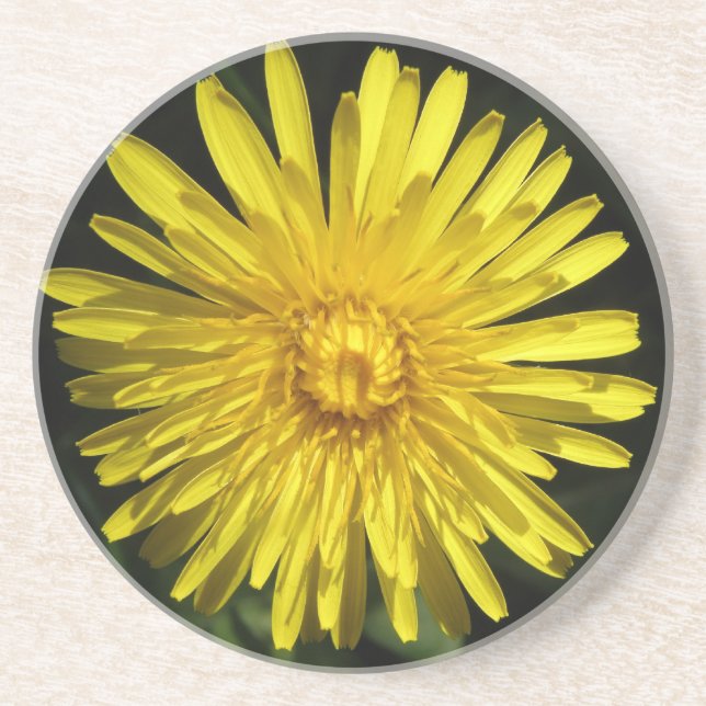 En Grès Dessous de verre Dandelion (Devant)