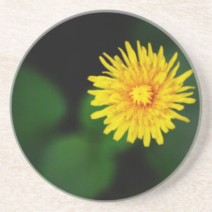 En Grès Dessous de verre Dandelion Sandstone
