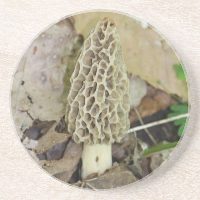 En Grès Dessous de verre de champignon de morelle (Devant)
