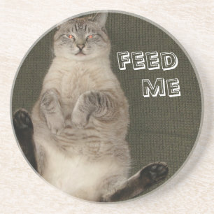 En Grès Dessous de verre de chat "FEED ME"