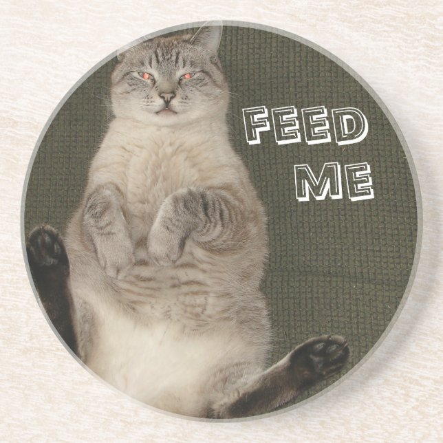 En Grès Dessous de verre de chat "FEED ME" (Devant)