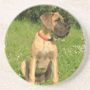 En Grès Dessous de verre de chiot de mastiff