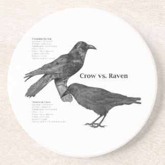 En Grès dessous de verre de corneille-contre-Raven