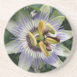 En Grès Dessous de verre de fleurs de passion