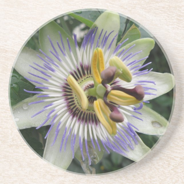 En Grès Dessous de verre de fleurs de passion (Devant)
