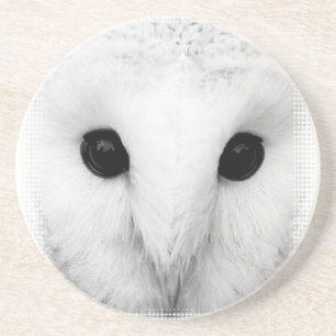 En Grès Dessous de verre de hibou de Milou