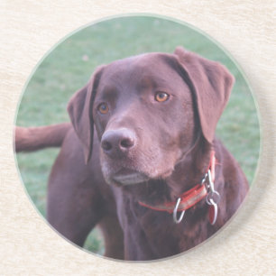 En Grès Dessous de verre de Labrador de chocolat