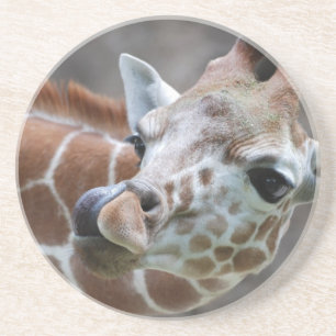 En Grès Dessous de verre de langue de girafe