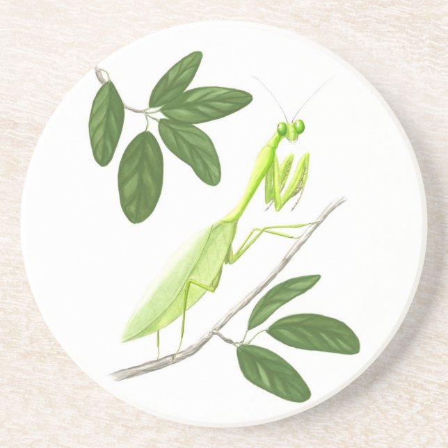 En Grès Dessous de verre de Mantis Sandstone (Devant)