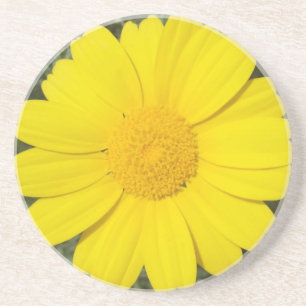 En Grès Dessous de verre de marguerite jaune