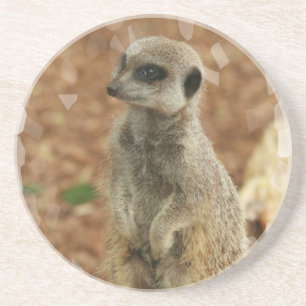 En Grès Dessous de verre de Meerkat de bébé
