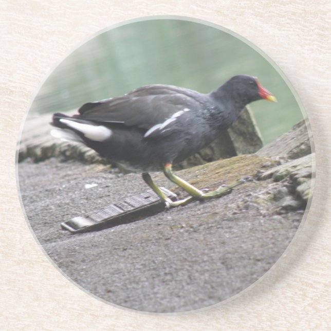 En Grès Dessous de verre de Moorhen (Devant)