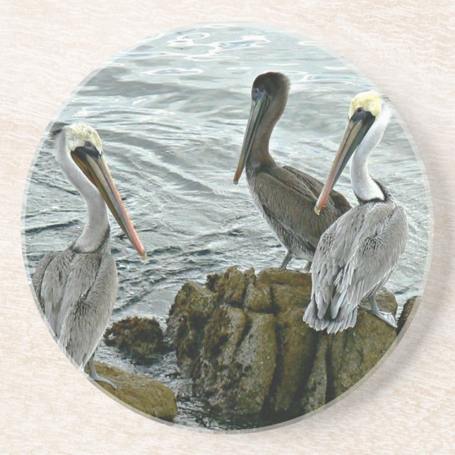 En Grès Dessous de verre de pélicans de Monterey (Devant)