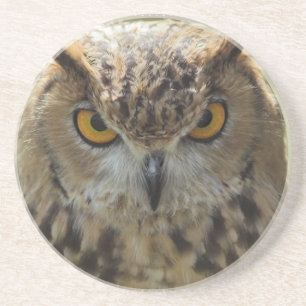 En Grès Dessous de verre de photo de hibou