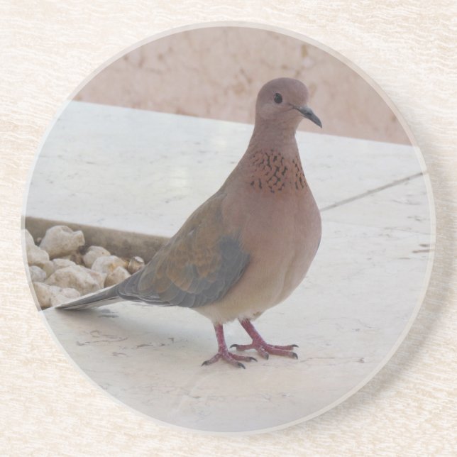 En Grès Dessous de verre de pigeon (Devant)