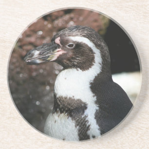 En Grès Dessous de verre de pingouin