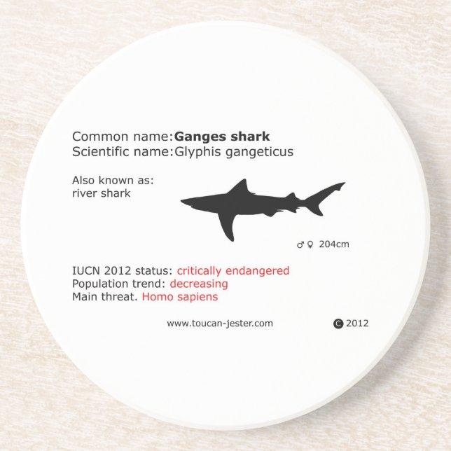 En Grès Dessous de verre de requin du Gange (Devant)