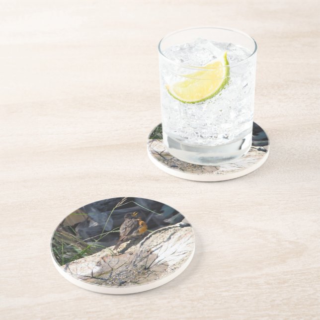 En Grès Dessous de verre de Robin (Côté)